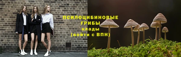 a pvp Аркадак