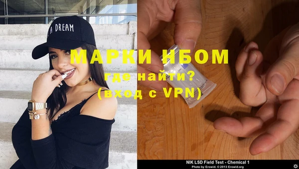 ПСИЛОЦИБИНОВЫЕ ГРИБЫ Арсеньев