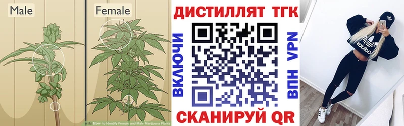 ТГК гашишное масло  где купить наркоту  кракен сайт  Пенза 