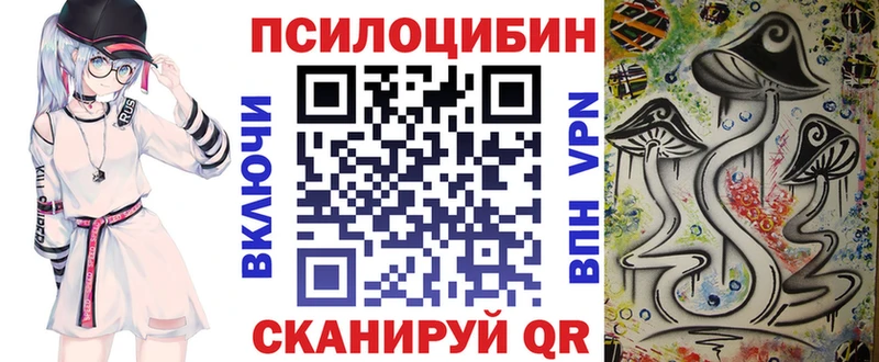 darknet состав  Пенза  Псилоцибиновые грибы ЛСД  как найти закладки 